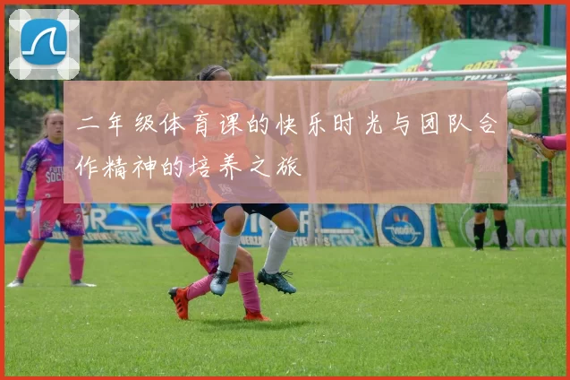二年级体育课的快乐时光与团队合作精神的培养之旅